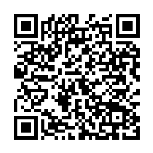 Link to your fundraiser QRCode - Fundraising