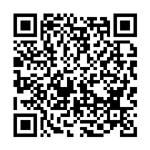 Link to your fundraiser QRCode - Fundraising