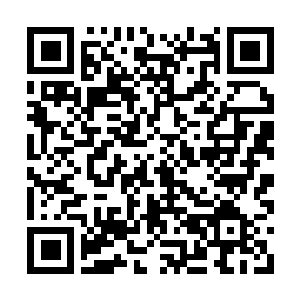 Link to your fundraiser QRCode - Fundraising