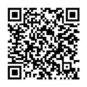 Link to your fundraiser QRCode - Fundraising