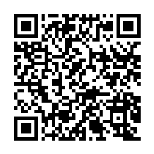 Link to your fundraiser QRCode - Fundraising