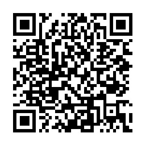 Link to your fundraiser QRCode - Fundraising