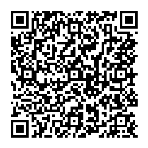 Link to your fundraiser QRCode - Fundraising