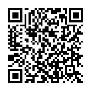 Link to your fundraiser QRCode - Fundraising