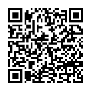Link to your fundraiser QRCode - Fundraising
