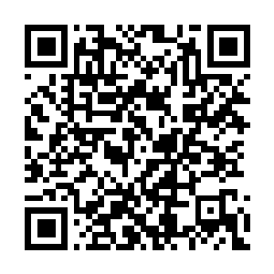Link to your fundraiser QRCode - Fundraising