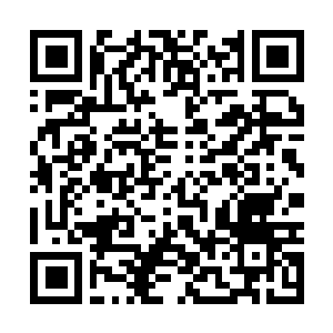 Link to your fundraiser QRCode - Fundraising