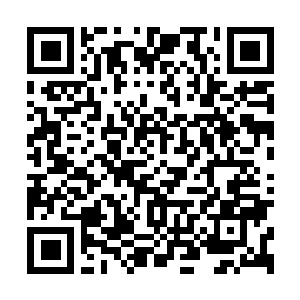 Link to your fundraiser QRCode - Fundraising