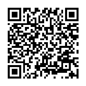 Link to your fundraiser QRCode - Fundraising
