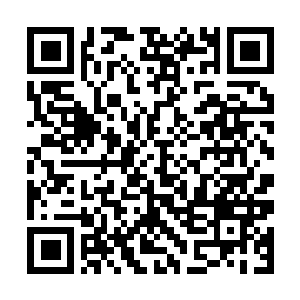 Link to your fundraiser QRCode - Fundraising