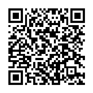 Link to your fundraiser QRCode - Fundraising