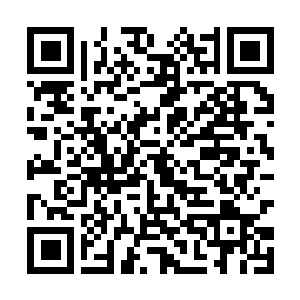Link to your fundraiser QRCode - Fundraising