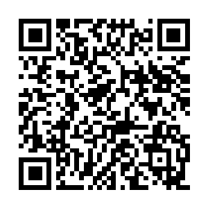 Link to your fundraiser QRCode - Fundraising