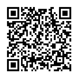 Link to your fundraiser QRCode - Fundraising