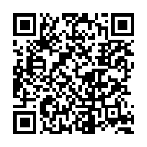 Link to your fundraiser QRCode - Fundraising