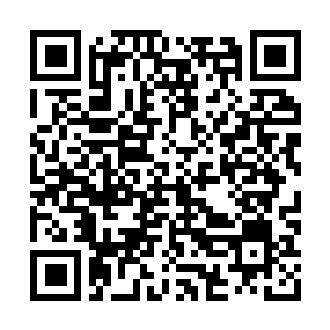 Link to your fundraiser QRCode - Fundraising
