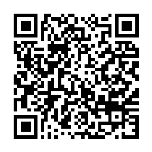Link to your fundraiser QRCode - Fundraising