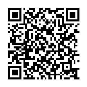 Link to your fundraiser QRCode - Fundraising