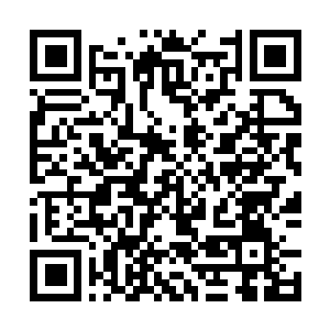 Link to your fundraiser QRCode - Fundraising