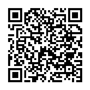 Link to your fundraiser QRCode - Fundraising