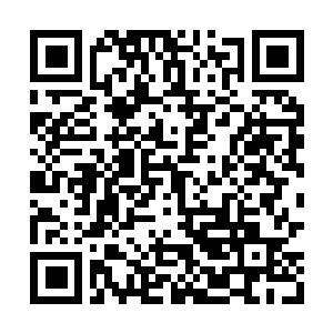 Link to your fundraiser QRCode - Fundraising