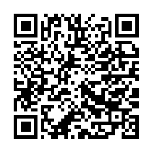 Link to your fundraiser QRCode - Fundraising