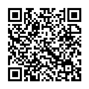Link to your fundraiser QRCode - Fundraising