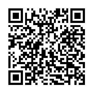 Link to your fundraiser QRCode - Fundraising