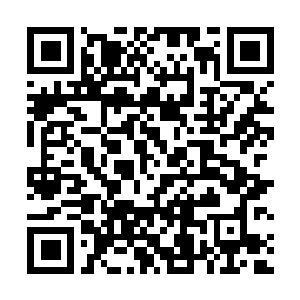 Link to your fundraiser QRCode - Fundraising