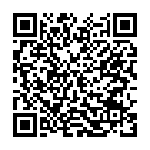 Link to your fundraiser QRCode - Fundraising