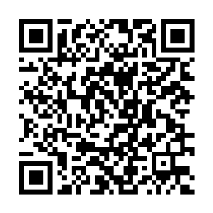 Link to your fundraiser QRCode - Fundraising