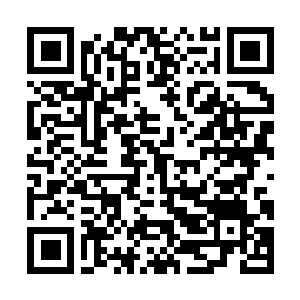 Link to your fundraiser QRCode - Fundraising
