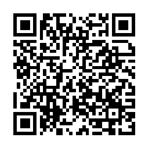 Link to your fundraiser QRCode - Fundraising