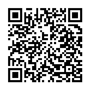 Link to your fundraiser QRCode - Fundraising