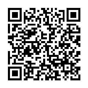Link to your fundraiser QRCode - Fundraising