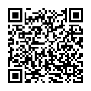 Link to your fundraiser QRCode - Fundraising
