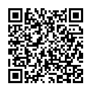 Link to your fundraiser QRCode - Fundraising