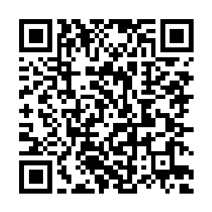 Link to your fundraiser QRCode - Fundraising