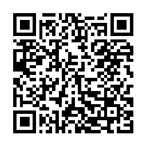Link to your fundraiser QRCode - Fundraising