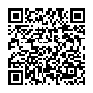 Link to your fundraiser QRCode - Fundraising