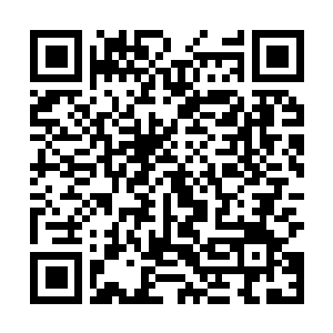 Link to your fundraiser QRCode - Fundraising