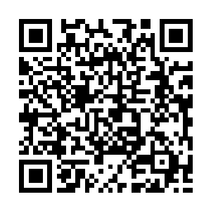 Link to your fundraiser QRCode - Fundraising