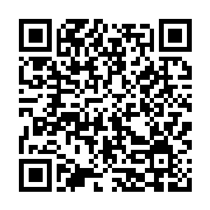Link to your fundraiser QRCode - Fundraising