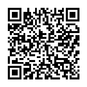 Link to your fundraiser QRCode - Fundraising
