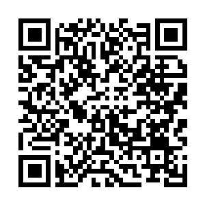 Link to your fundraiser QRCode - Fundraising