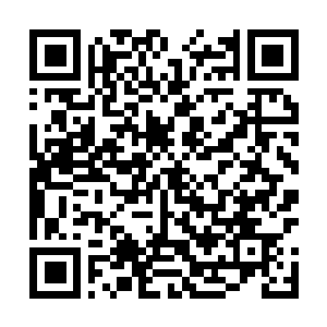Link to your fundraiser QRCode - Fundraising