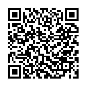 Link to your fundraiser QRCode - Fundraising