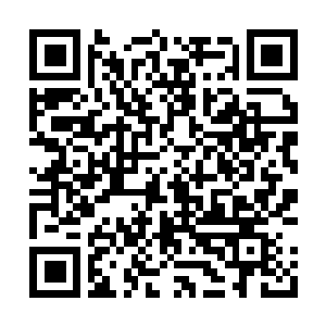 Link to your fundraiser QRCode - Fundraising