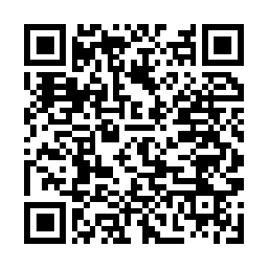 Link to your fundraiser QRCode - Fundraising