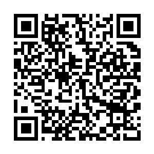 Link to your fundraiser QRCode - Fundraising